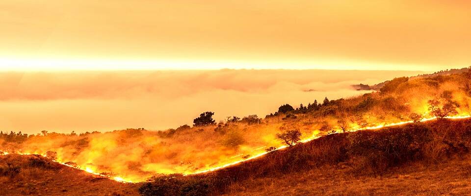 Slik håndterer vinprodusentene de mange krisene
