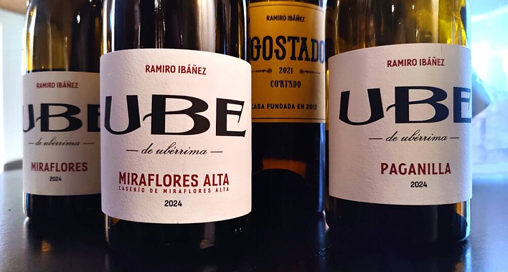 Disk opp med unike hvitviner til den norske sjømaten