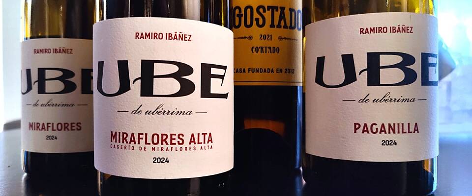 Disk opp med unike hvitviner til den norske sjømaten