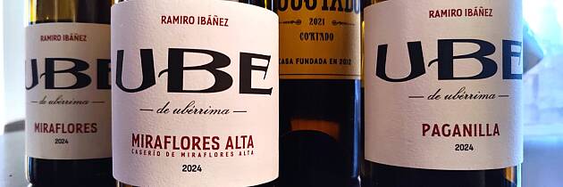 Disk opp med unike hvitviner til den norske sjømaten