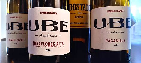 Disk opp med unike hvitviner til den norske sjømaten