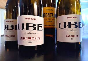 Disk opp med unike hvitviner til den norske sjømaten