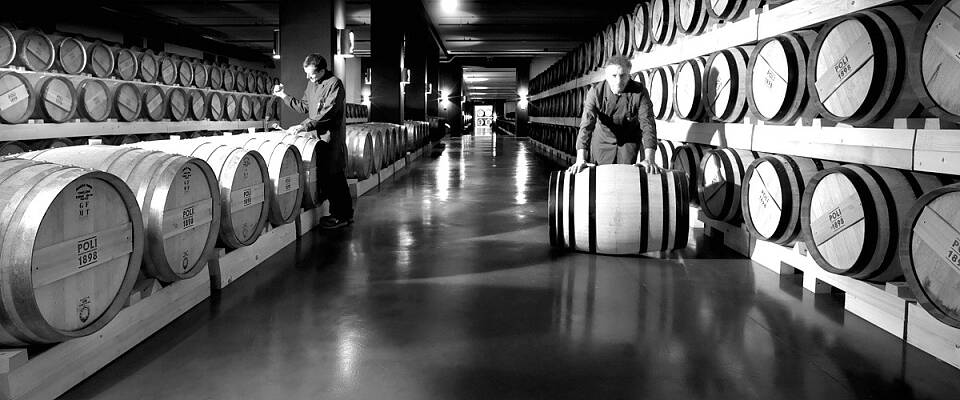 Grappakongen Poli tenker nytt - igjen