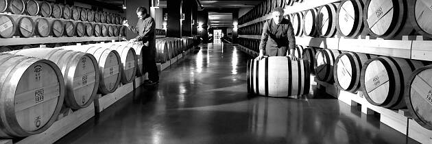 Grappakongen Poli tenker nytt - igjen