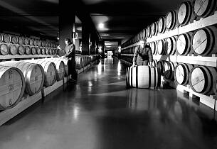 Grappakongen Poli tenker nytt - igjen