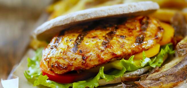 Jegerburger av reinskav