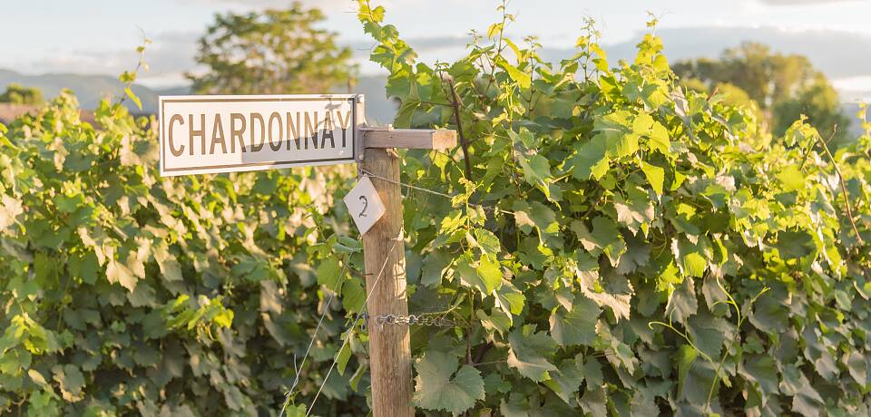 Begrenset antall billetter: Bli kjent med chardonnay