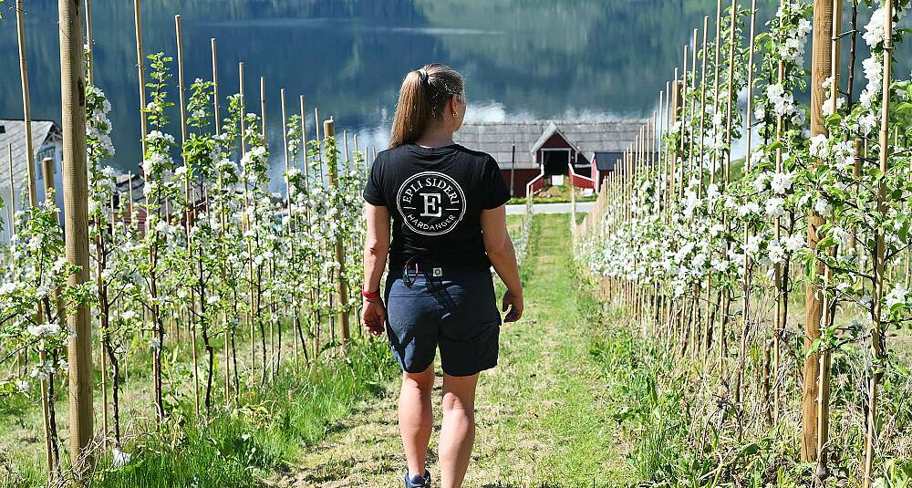 En unik mulighet til å smake hvor fantastisk sider er til mat