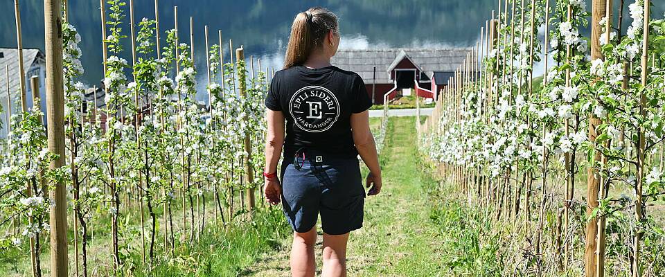 Smak hvor fantastisk sider er til mat