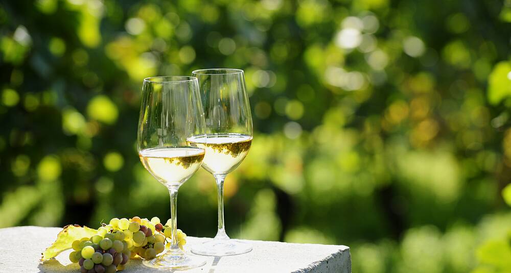 Eksklusiv vinsmaking: Smak rieslinger fra historisk vinprodusent
