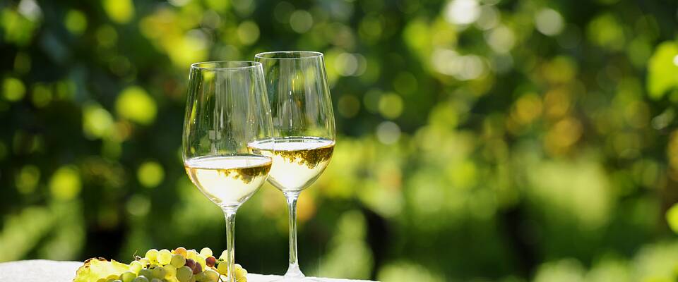 Eksklusiv vinsmaking: Smak rieslinger fra historisk vinprodusent