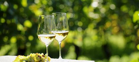 Eksklusiv vinsmaking: Smak rieslinger fra historisk vinprodusent