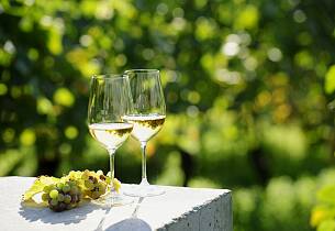 Eksklusiv vinsmaking: Smak rieslinger fra historisk vinprodusent
