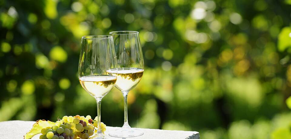 Eksklusiv vinsmaking: Smak rieslinger fra historisk vinprodusent