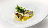Skrei eller annen hvit fisk stekt på skinnet blir nydelig med fennikelpure og kanskje også rødvinsaus