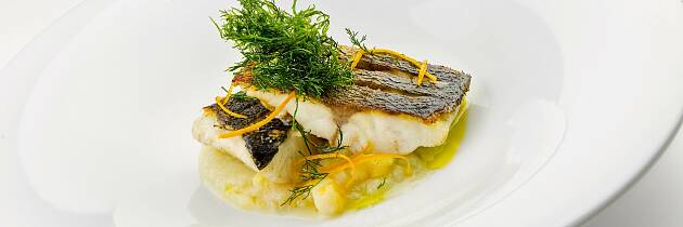 Skrei eller annen hvit fisk stekt på skinnet blir nydelig med fennikelpure og kanskje også rødvinsaus