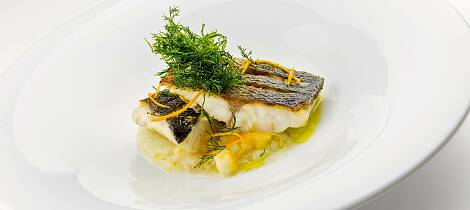 Skrei eller annen hvit fisk stekt på skinnet blir nydelig med fennikelpure og kanskje også rødvinsaus