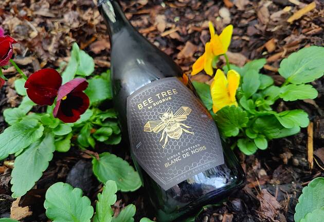 Møt Englands fremste stjernevinmaker som kan mer enn musserende vin