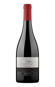 San Pedro 1865 Selected Vineyards Syrah