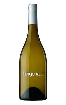 Parés Baltà Indigena