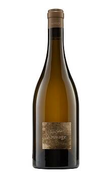 Pascal Jolivet Sauvage