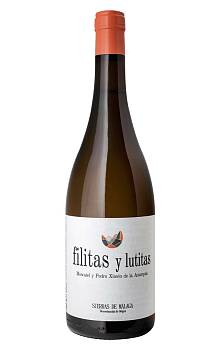 Verticales Filitas y Lutitas Moscatel y Pedro Ximém de la Axarquía