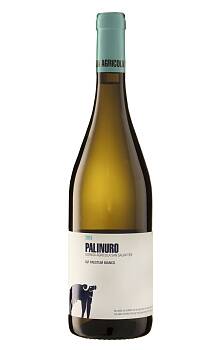 San Salvatore 1988 Palinuro Paestum Bianco 2015