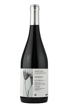 Magna Vides Alma de Cántaro Garnacha