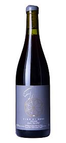 Vino di Anna Qvevri Don Alfio