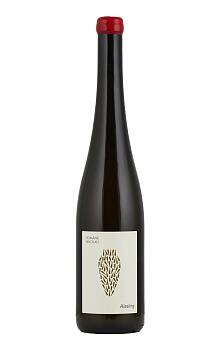 Dom. Wachau Riesling Amphora
