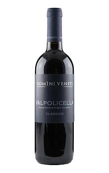 Domìni Veneti Valpolicella Classico