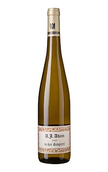 A.J. Adam in der Sengerei Dhroner Hofberg Riesling feinherb