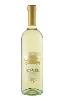 Corte Viola Chardonnay delle Venezia