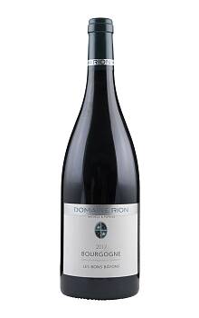 Patrice Rion Bourgogne Les Bons Bâtons Rouge