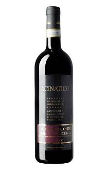 Accordini Acinatico Amarone della Valpolicella Classico