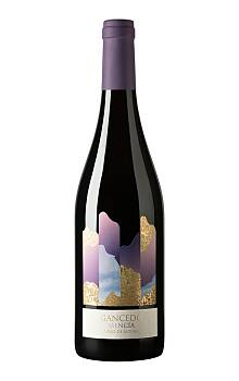 Gancedo Mencía Vino de Altura