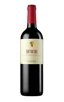 Coppo L'Avvocata Barbera d'Asti