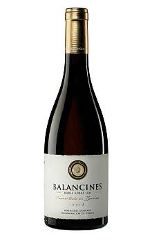 Pago Los Balancines