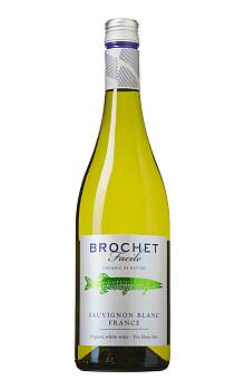 Ampelidae Brochet Facile Sauvignon Blanc