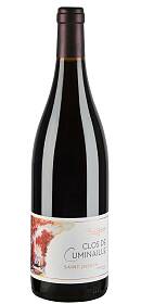 Pierre Gaillard Saint-Joseph Clos de Cuminaille