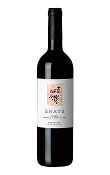 Enate Tempranillo Cabernet Sauvignon Crianza