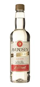 Amundsen Expedition Klar Vinter