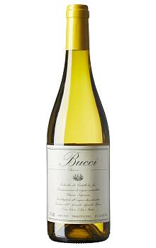 Bucci Verdicchio dei Castelli di Jesi Classico Superiore