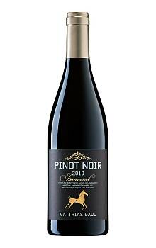 Matthias Gaul Steinrassel Pinot Noir