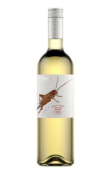 Thaya Pinot Gris