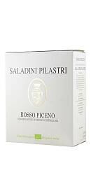 Saladini Pilastri Rosso Piceno