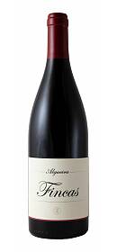 Adega Algueira Fincas Ribeira Sacra