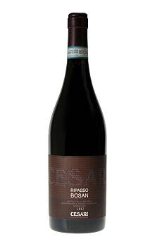 Cesari Ripasso Bosan Valpolicella Superiore