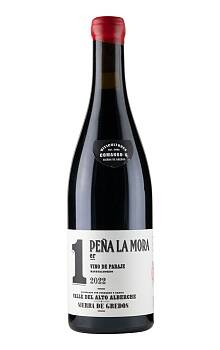 Comando G Peña la Mora 1er