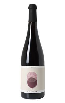 Sophie Schaal Alsace Pinot Noir